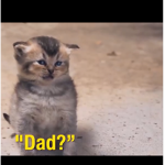 Ok yo my name is dad?