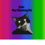 Zabs MartGaming316