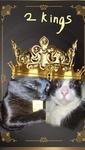 Cat luvv group!