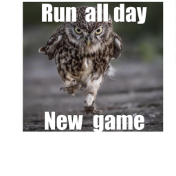 run all day