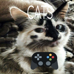 cats are becoming smart (beta)