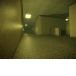 "Level 0"