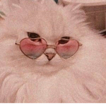 smhkittyy