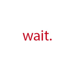 Waiting Simulator.