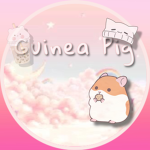 Guinea Piggy’s