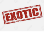 The Exotic world