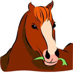Horse Mania!