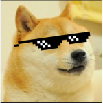 DogeFans