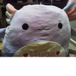 Slushythe axolotl Xoxoxoxoxoxoxox
