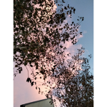 Cloudy flow x