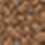 F4iout i Wojan Group Thumbnail