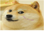 The Doge *Such Awesome*