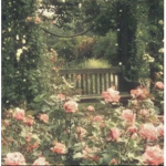 Floraisony