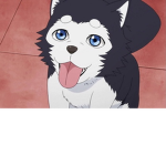 The Huskey's