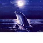 Maddie's Dolphins