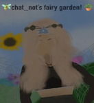 Chat_Not's Fairy Garden
