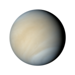 Venusians
