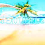 ʚ exoticful ɞ