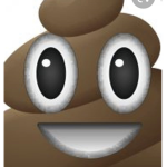 PoPO army