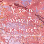 Cherry Blossom Beaches