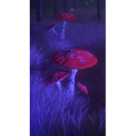 The Mushroom Village Shop