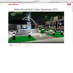 Brookhaven change