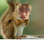Bts Stan<33