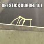 stick bug clothing