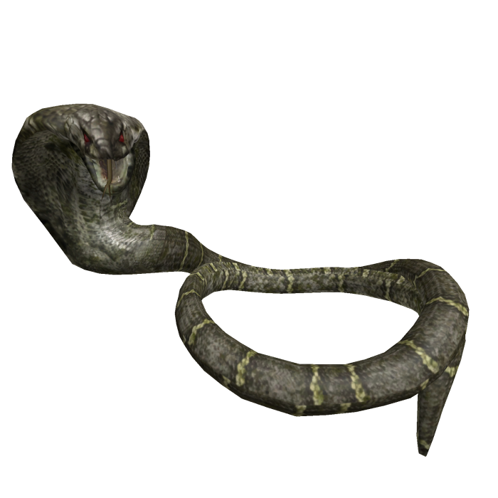 Swamp Viper snake wrapped around neck