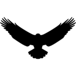 [SEA] NightHawk Air Force