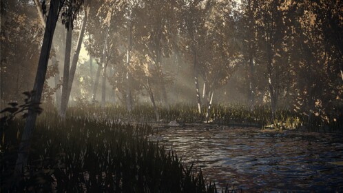 The Forest