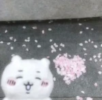 /safe Group Thumbnail