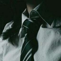 slytherin,