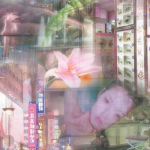 +:｡virtual dreams ｡:+
