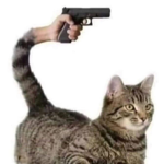 Groooooooop