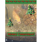 Mr. Fishy’s Team!