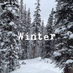 Winter⛄