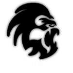 !GORILLAS STUDIOS!