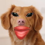 lil peepš <3