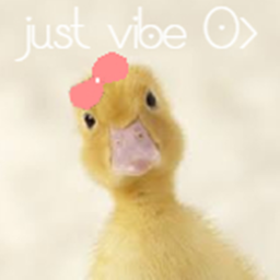 Just vibe with Ducks