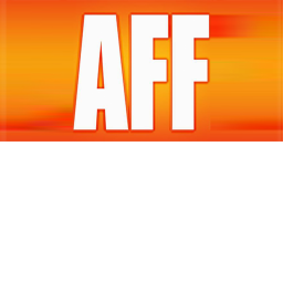AFF Stadium