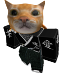 Ninja Cat Fan club