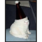 ham log