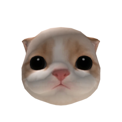 Little Kitten Head