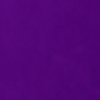 PURPLE Roblox decal