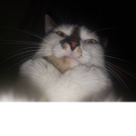 ESIL