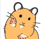 AdoptXMeTraders