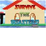 servive 1999990 disaster