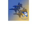 UNITED STATES NAVY BLUE ANGELS FLIGHT SQUADRON