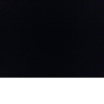 AllyCat12958585
